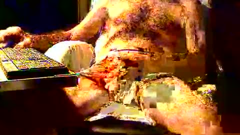 Snapshot of joystik4u60 chatting on November 2, 1:35 pm joystik4u60 online show from November 2, 1:35 pm