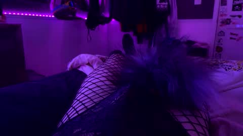 jrod11229 online show from October 24, 2:30 am