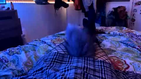 jrod11229 online show from October 27, 2:15 am