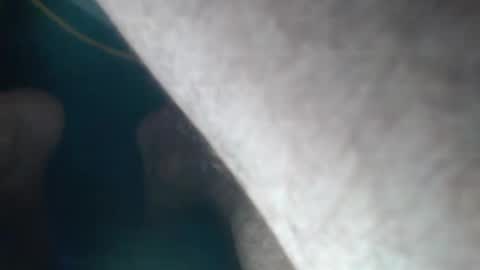 FreshNess online show from September 23, 12:02 am