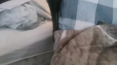 Snapshot of jsr1187 chatting on March 9, 4:11 pm Join My Fan Club To Get To Know Me Better online show from March 9, 4:11 pm