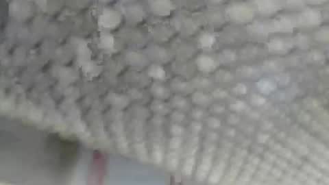 Giovanni50pro online show from September 17, 12:40 pm