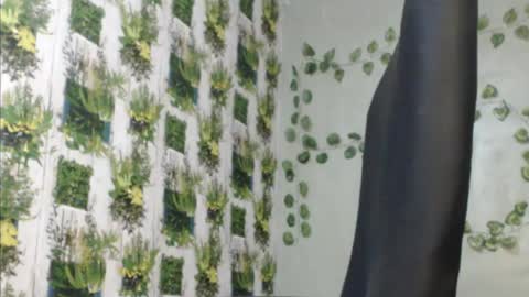 Mariagold online show from December 9, 11:58 am