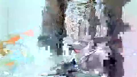 juicyebonitaa online show from November 4, 6:45 am