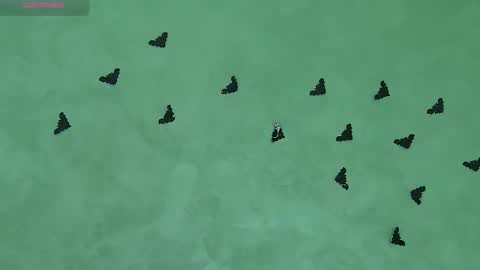 Snapshot of juicyjullia chatting on November 5, 8:47 am Julia online show from November 5, 8:47 am