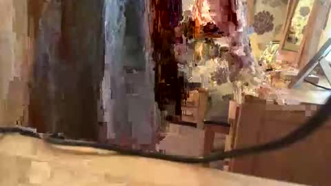 Snapshot of juliecd1955 chatting on November 6, 1:56 pm brian online show from November 6, 1:56 pm