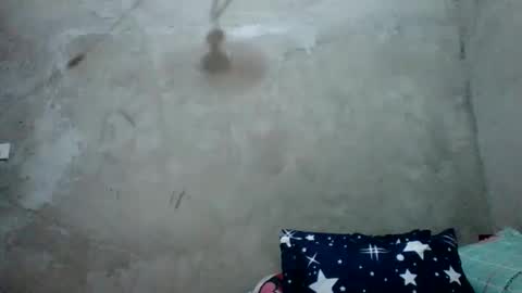 juliett online show from February 27, 6:57 am