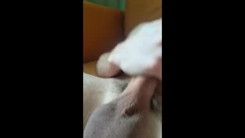 Snapshot of jungle121729 chatting on January 7, 11:34 am jungle121729 online show from January 7, 11:34 am