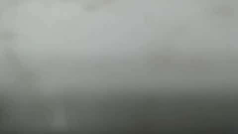 Snapshot of junk_yard_dog chatting on March 6, 2:13 pm Dave online show from March 6, 2:13 pm