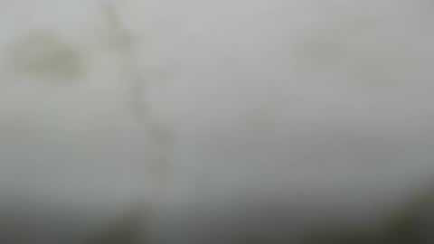 Snapshot of junk_yard_dog chatting on March 10, 1:05 pm Dave online show from March 10, 1:05 pm