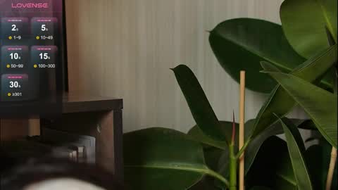 just_dakota_ online show from March 31, 7:53 am