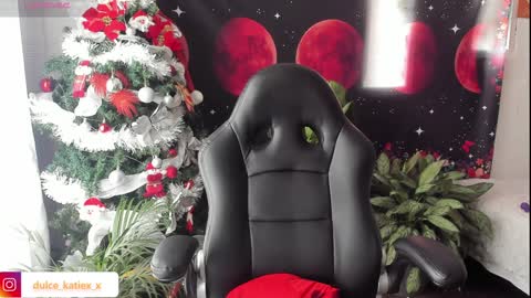 Snapshot of just_katiex chatting on December 31, 6:24 pm Sofia online show from December 31, 6:24 pm