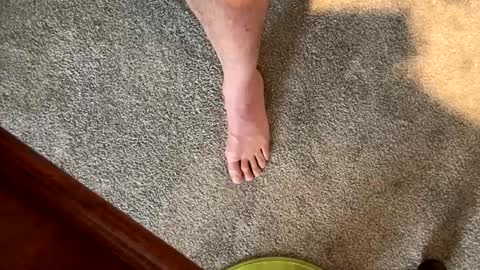 justanudedude online show from December 5, 1:38 pm