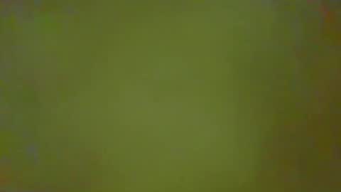 McKeefer online show from February 25, 2:37 pm