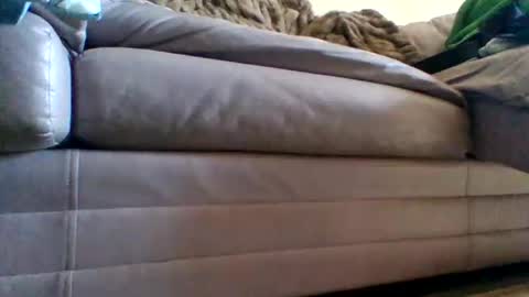 Snapshot of justgrosch4200 chatting on February 27, 5:46 pm justgrosch4200 online show from February 27, 5:46 pm