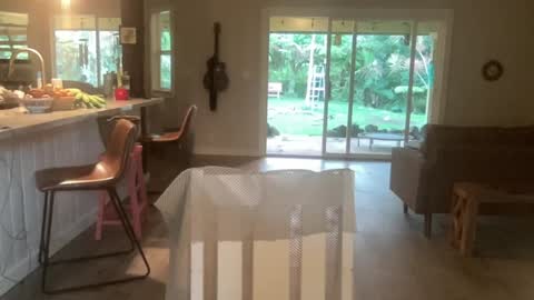 Snapshot of kaileeshy chatting on October 1, 3:56 am Kailee Smile online show from October 1, 3:56 am