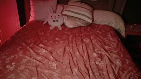 Snapshot of kaileeshy chatting on November 18, 4:28 am Kailee Smile online show from November 18, 4:28 am