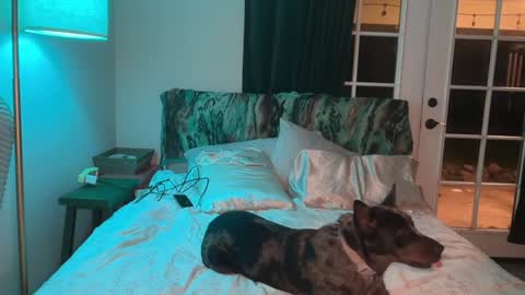 Kailee Smile online show from February 10, 5:00 am