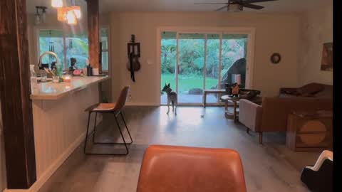 Kailee Smile online show from March 21, 4:28 am