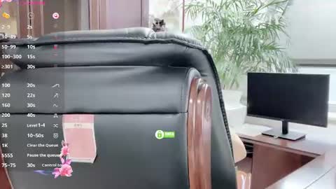 Kaixin online show from June 13, 1:58 am