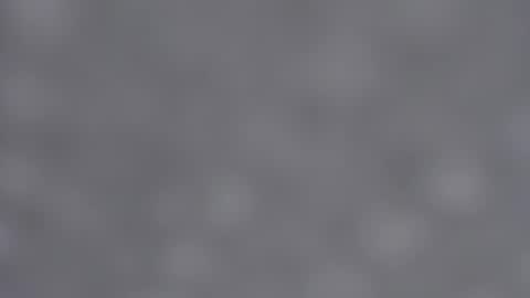 Emma online show from January 23, 9:08 am