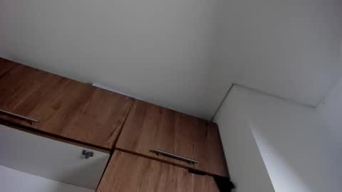 karina_aurora online show from January 11, 4:28 am