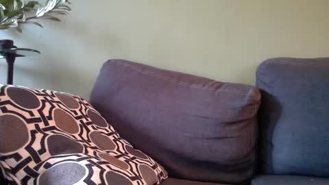 Karl online show from September 13, 1:00 pm