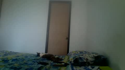 karlhats2023 online show from December 27, 7:57 pm