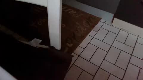 Kev online show from October 31, 7:42 am