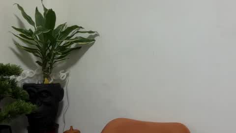 Snapshot of karoline121 chatting on April 21, 2:51 am karoline121 online show from April 21, 2:51 am