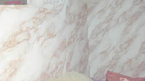 Snapshot of kaseydelvey chatting on January 15, 6:51 pm online show from January 15, 6:51 pm