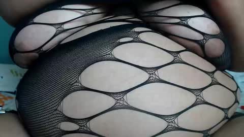 Kata online show from March 2, 4:14 am