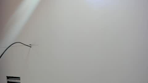 Snapshot of kate_bunny_ chatting on February 18, 12:01 pm Kate online show from February 18, 12:01 pm