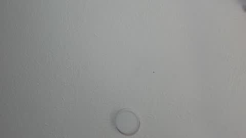 love meeee online show from January 17, 3:32 pm