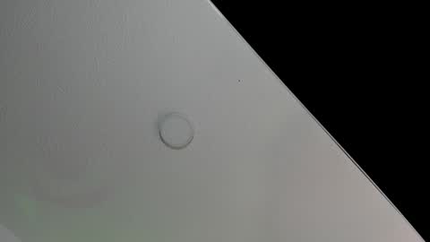 love meeee online show from February 8, 2:27 pm