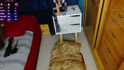 Arianna online show from December 2, 7:38 pm