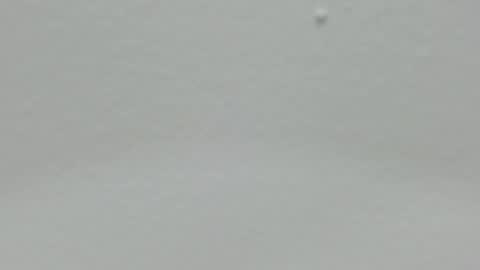 katy blonde girl and paola big boobs online show from December 24, 5:02 pm