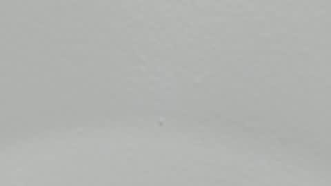 katy blonde girl and paola big boobs online show from January 9, 2:01 am