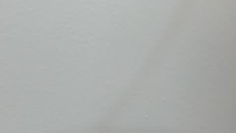 katy blonde girl and paola big boobs online show from February 13, 7:21 pm