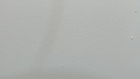 katy blonde girl and paola big boobs online show from February 26, 7:38 pm