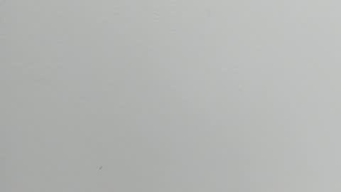 katy blonde girl and paola big boobs online show from September 17, 7:37 pm