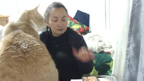  Khawit  online show from January 15, 4:17 am