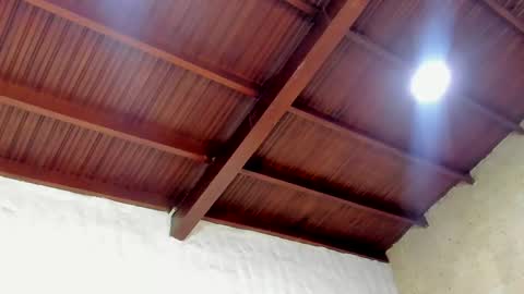 Kaylee sweet online show from October 21, 7:58 pm