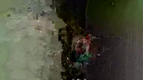 keipi online show from December 7, 12:08 am