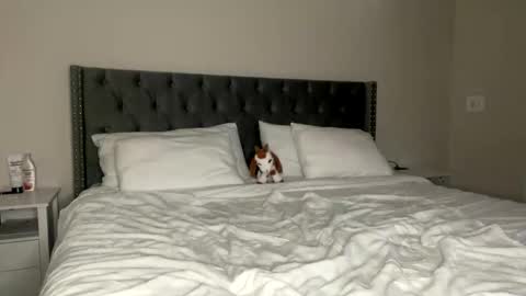 Snapshot of kekeoutlaw chatting on February 13, 2:57 pm Kekeoutlaw online show from February 13, 2:57 pm