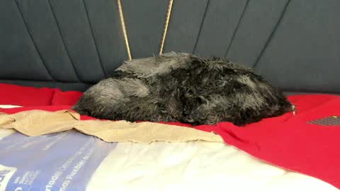 Snapshot of kendall_x0 chatting on April 11, 7:45 am kendall_x0 online show from April 11, 7:45 am