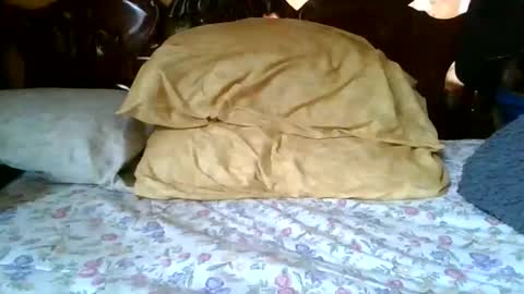 black dick  kev online show from February 2, 6:50 pm