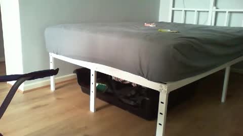 Daddyo online show from February 20, 11:00 am