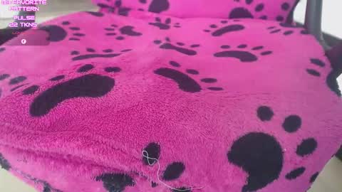 Kevin online show from February 2, 5:00 pm