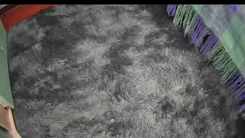 Snapshot of keylasmmith chatting on April 17, 9:29 pm Keyla online show from April 17, 9:29 pm